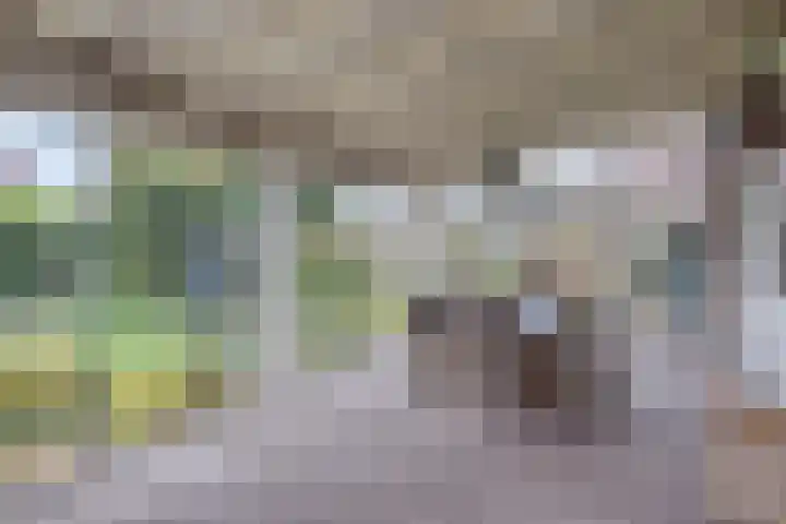 Sleestraat 20 Thorn thumbnail 20