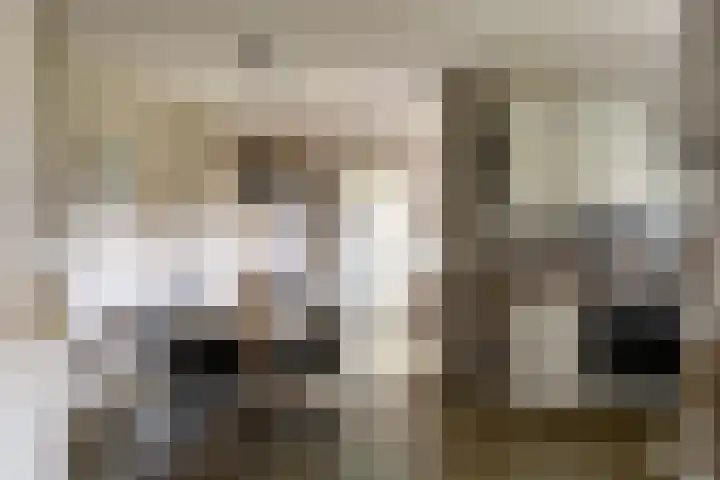 Sleestraat 20 Thorn thumbnail 21