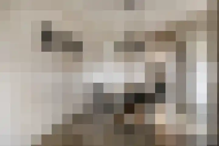 Sleestraat 20 Thorn thumbnail 22