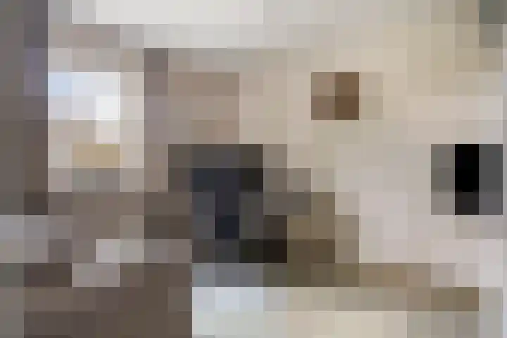 Sleestraat 20 Thorn thumbnail 29