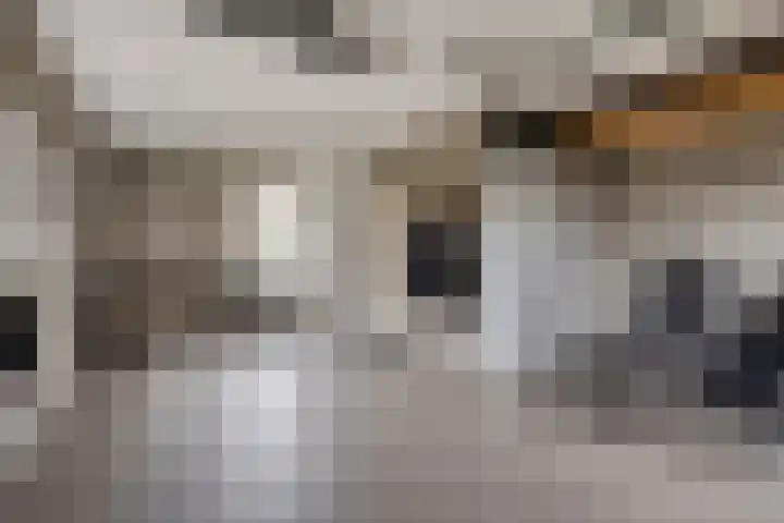 Sleestraat 20 Thorn thumbnail 31