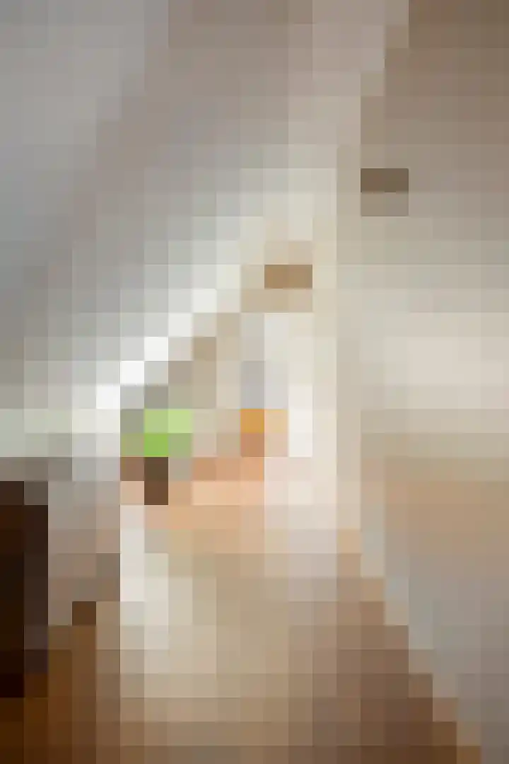 Sleestraat 20 Thorn thumbnail 33