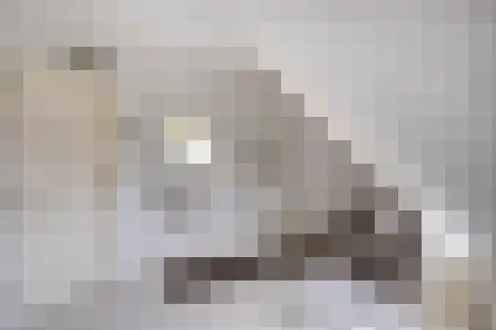 Sleestraat 20 Thorn thumbnail 37