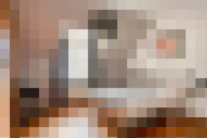 Sleestraat 20 Thorn thumbnail 44