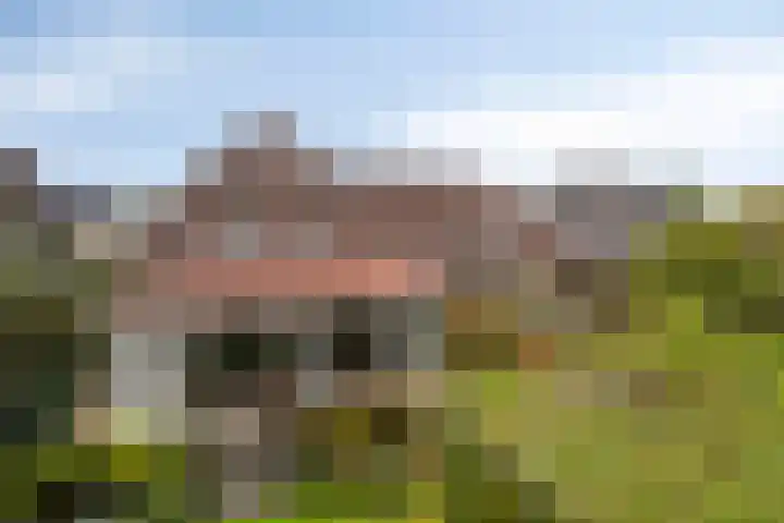 Sleestraat 20 Thorn thumbnail 48