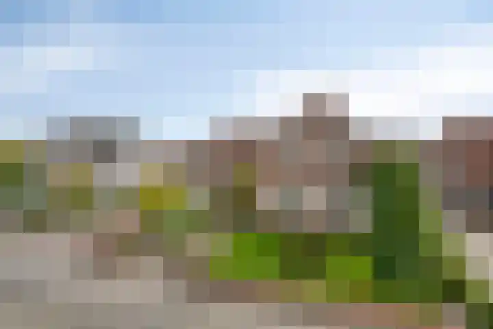 Sleestraat 20 Thorn thumbnail 5