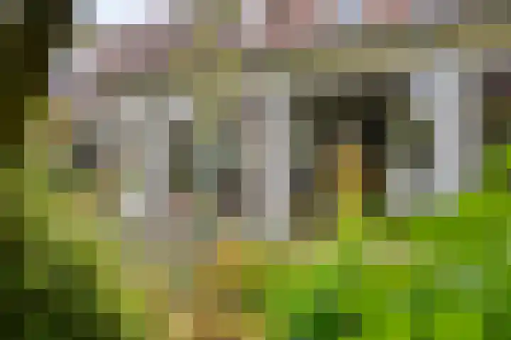 Sleestraat 20 Thorn thumbnail 50