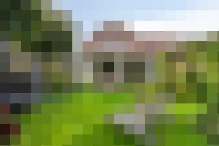 Sleestraat 20 Thorn thumbnail 51