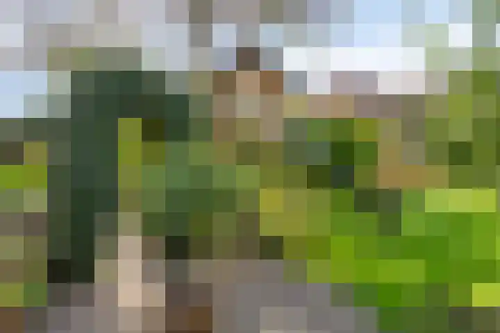 Sleestraat 20 Thorn thumbnail 55