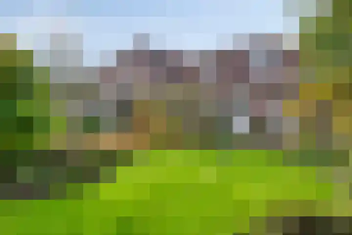 Sleestraat 20 Thorn thumbnail 57