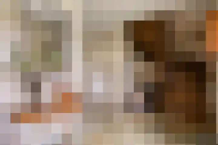 Sleestraat 20 Thorn thumbnail 6