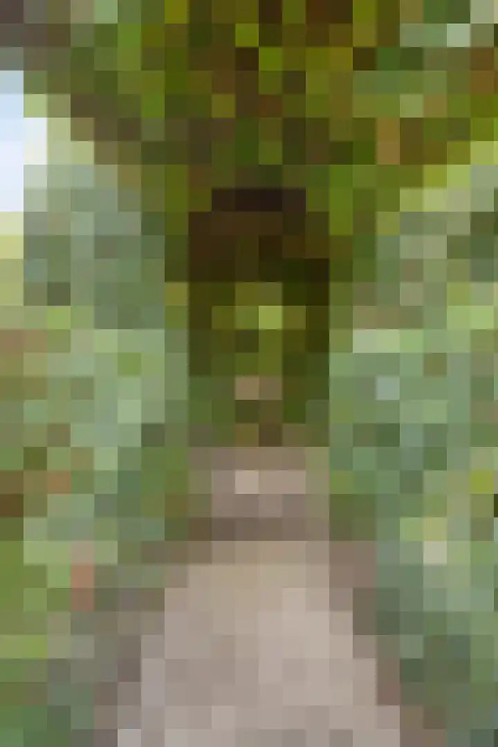 Sleestraat 20 Thorn thumbnail 64