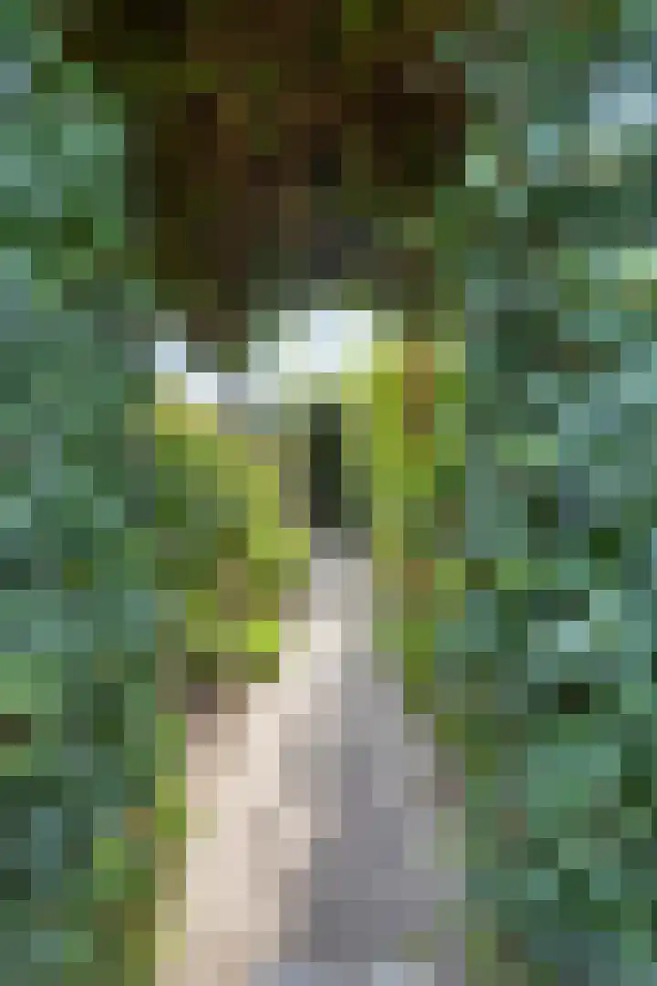 Sleestraat 20 Thorn thumbnail 69