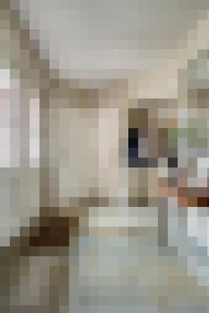 Sleestraat 20 Thorn thumbnail 7