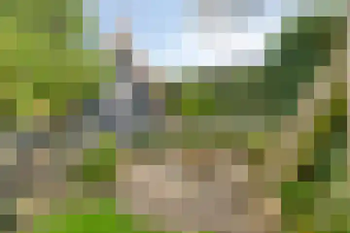 Sleestraat 20 Thorn thumbnail 70