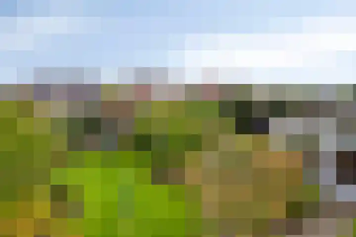 Sleestraat 20 Thorn thumbnail 77