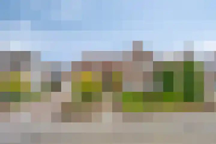Sleestraat 20 Thorn thumbnail 79