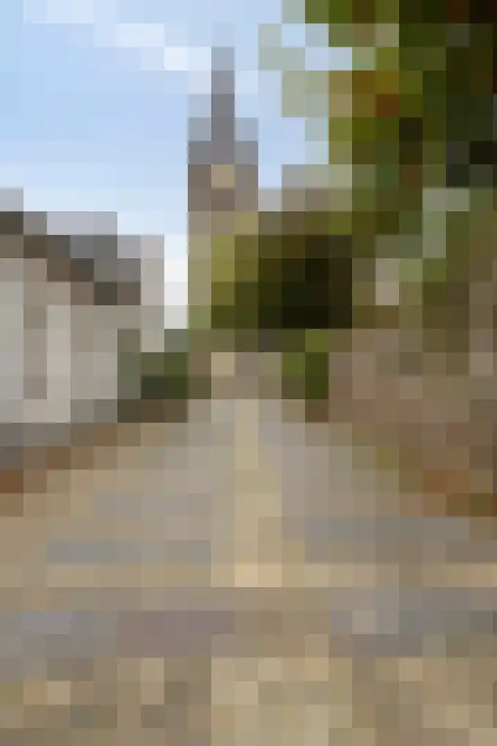 Sleestraat 20 Thorn thumbnail 83