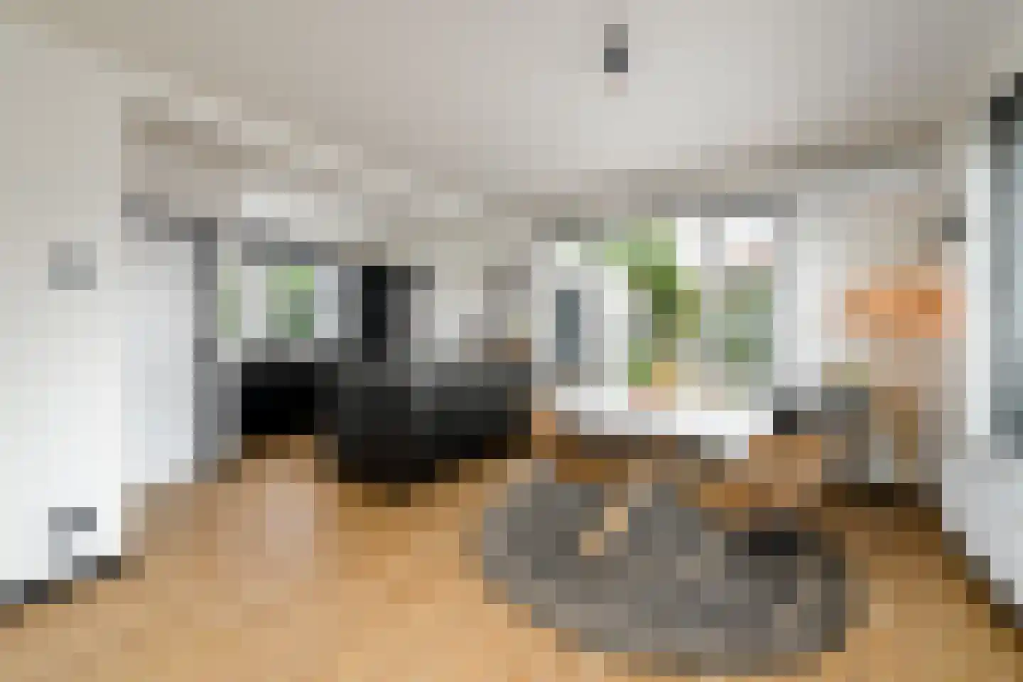 Sleeswijklaan 11 Wolvega thumbnail 11