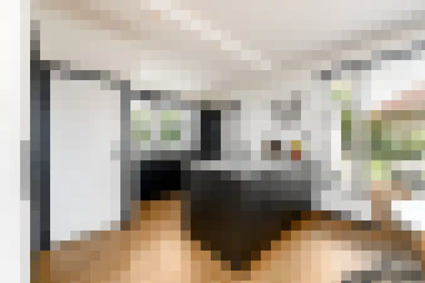 Sleeswijklaan 11 Wolvega thumbnail 15