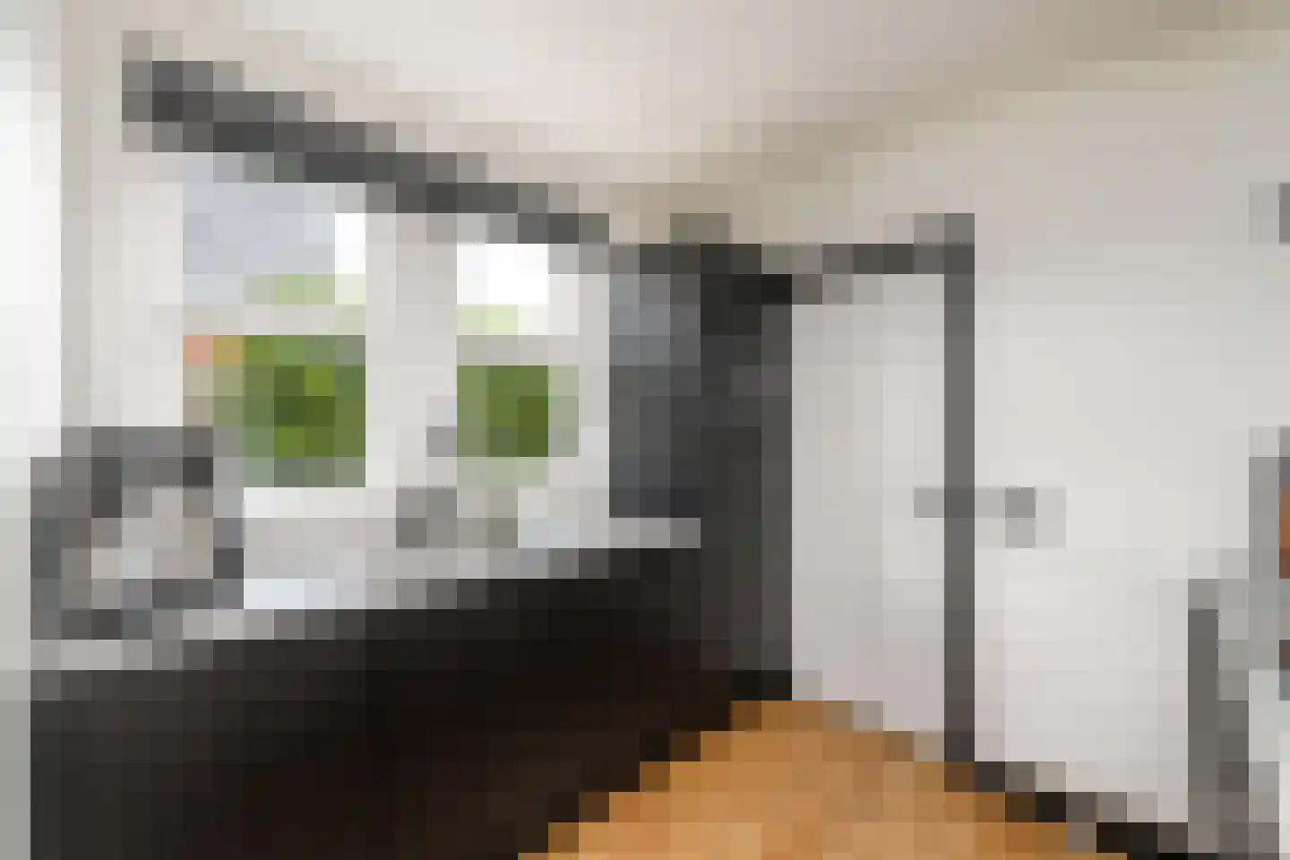 Sleeswijklaan 11 Wolvega thumbnail 16