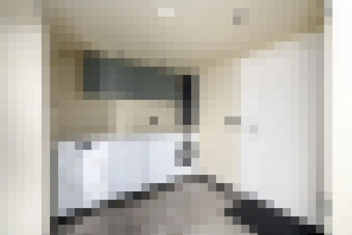 Sleeswijklaan 11 Wolvega thumbnail 19