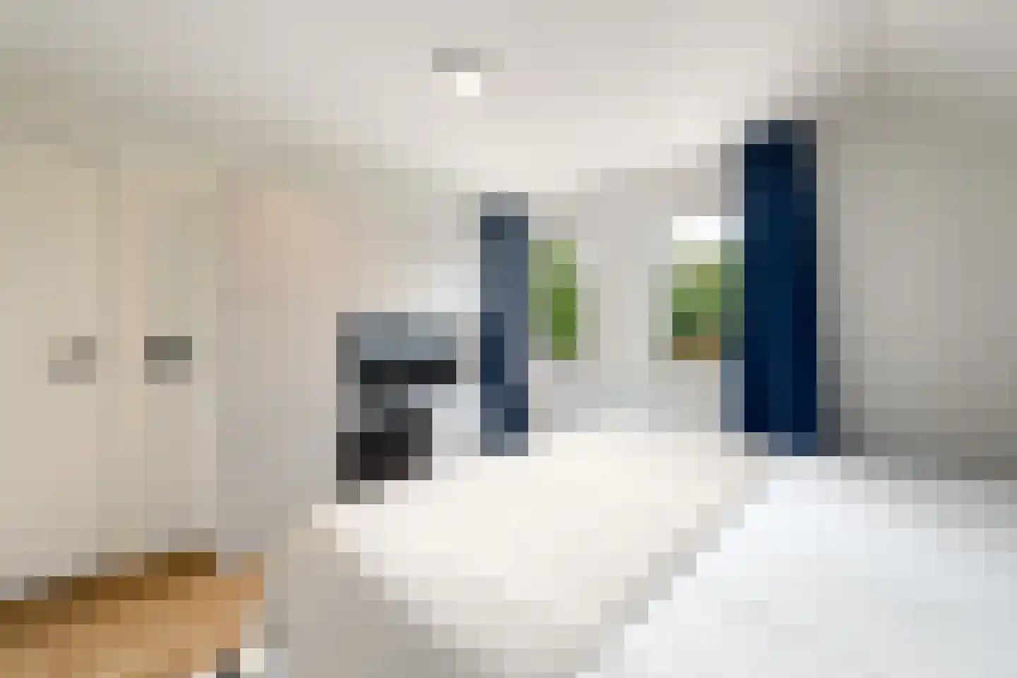 Sleeswijklaan 11 Wolvega thumbnail 25