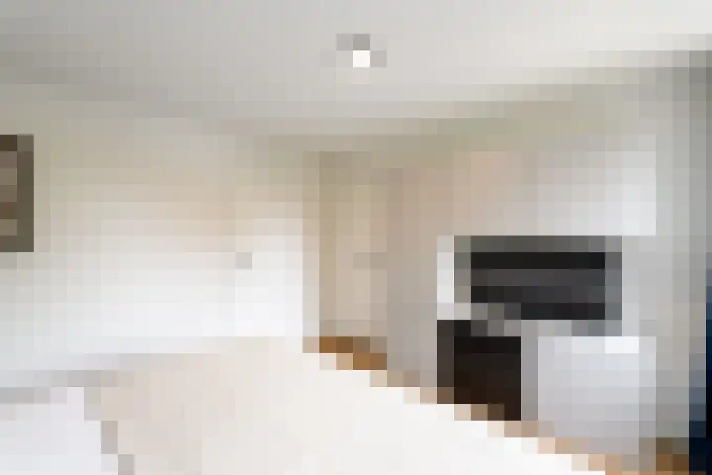 Sleeswijklaan 11 Wolvega thumbnail 26