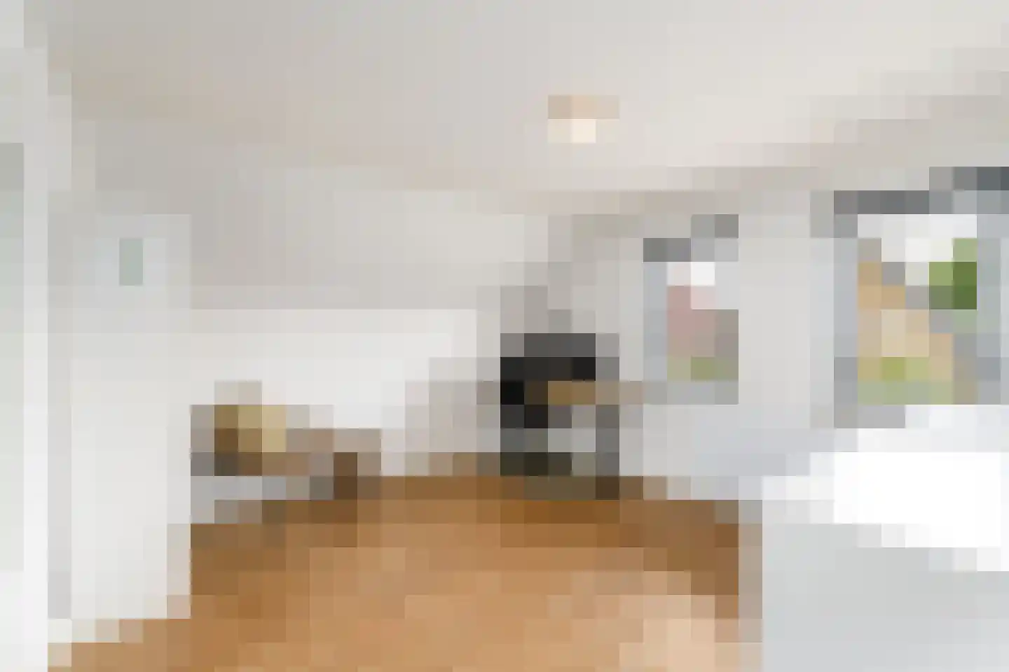 Sleeswijklaan 11 Wolvega thumbnail 27