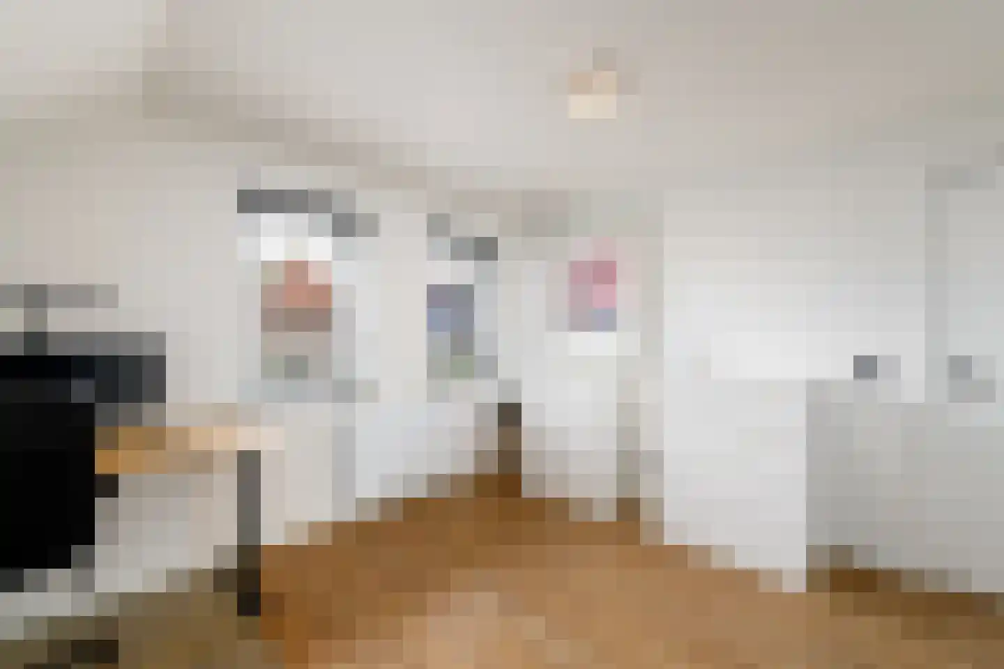 Sleeswijklaan 11 Wolvega thumbnail 29