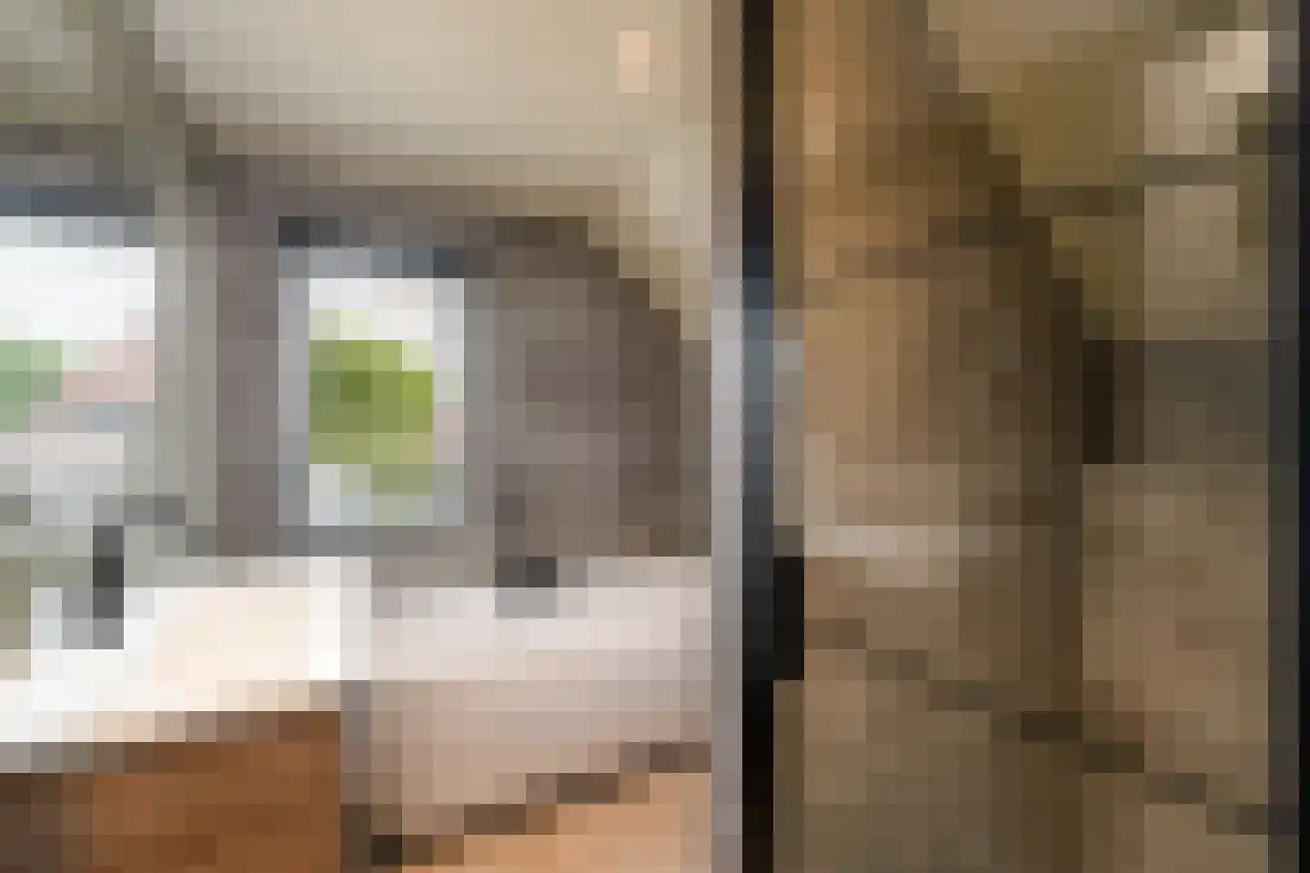 Sleeswijklaan 11 Wolvega thumbnail 31