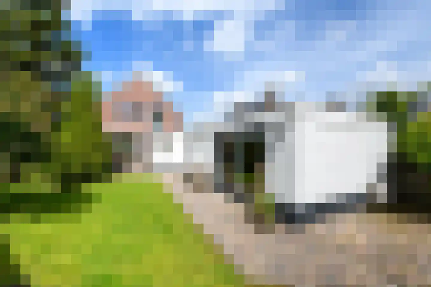 Sleeswijklaan 11 Wolvega thumbnail 33