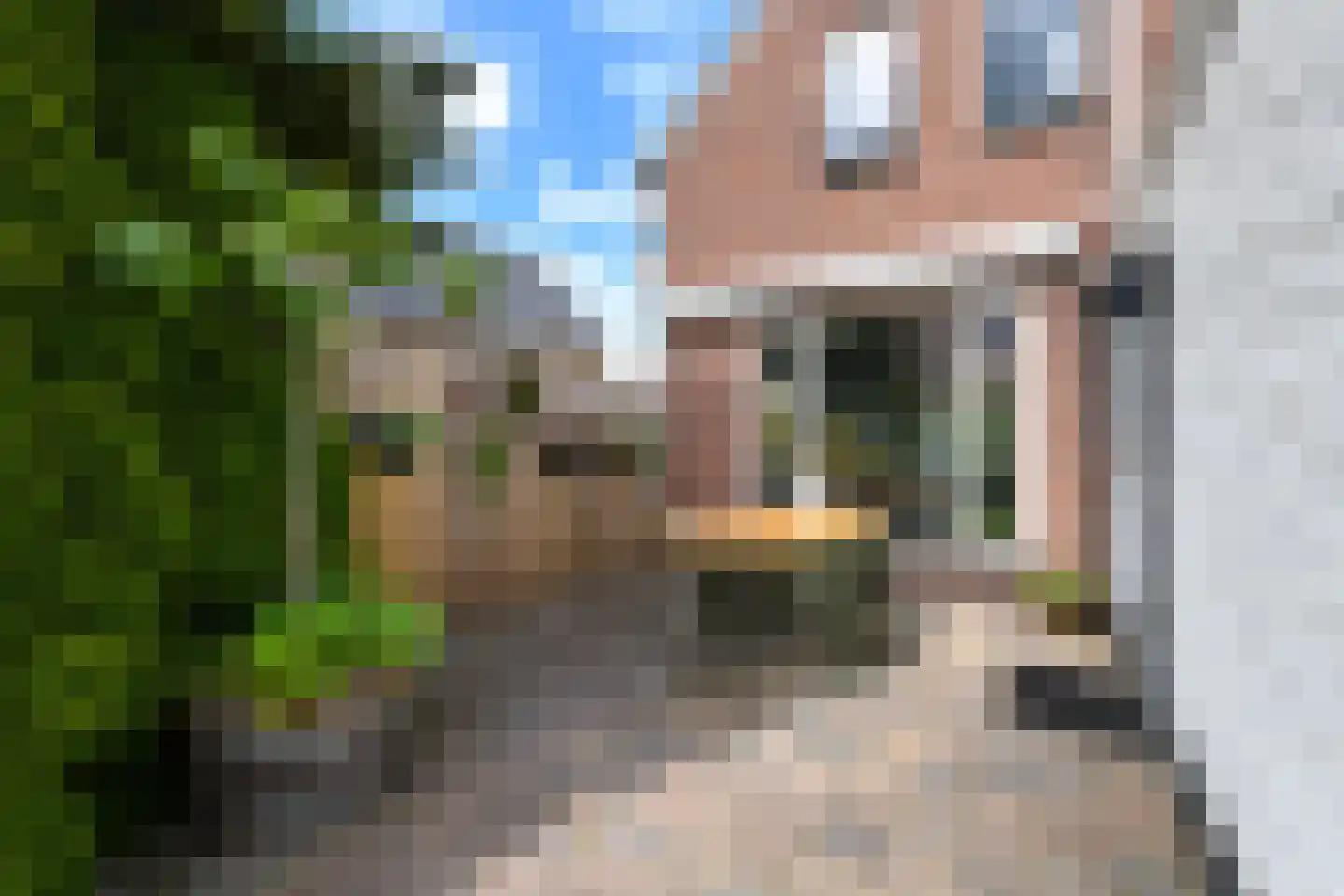Sleeswijklaan 11 Wolvega thumbnail 35