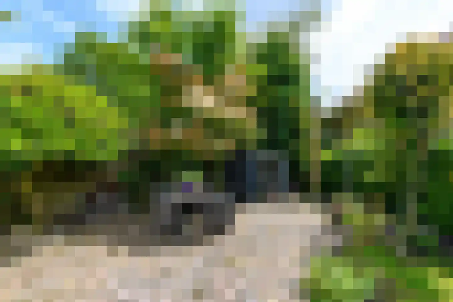 Sleeswijklaan 11 Wolvega thumbnail 38