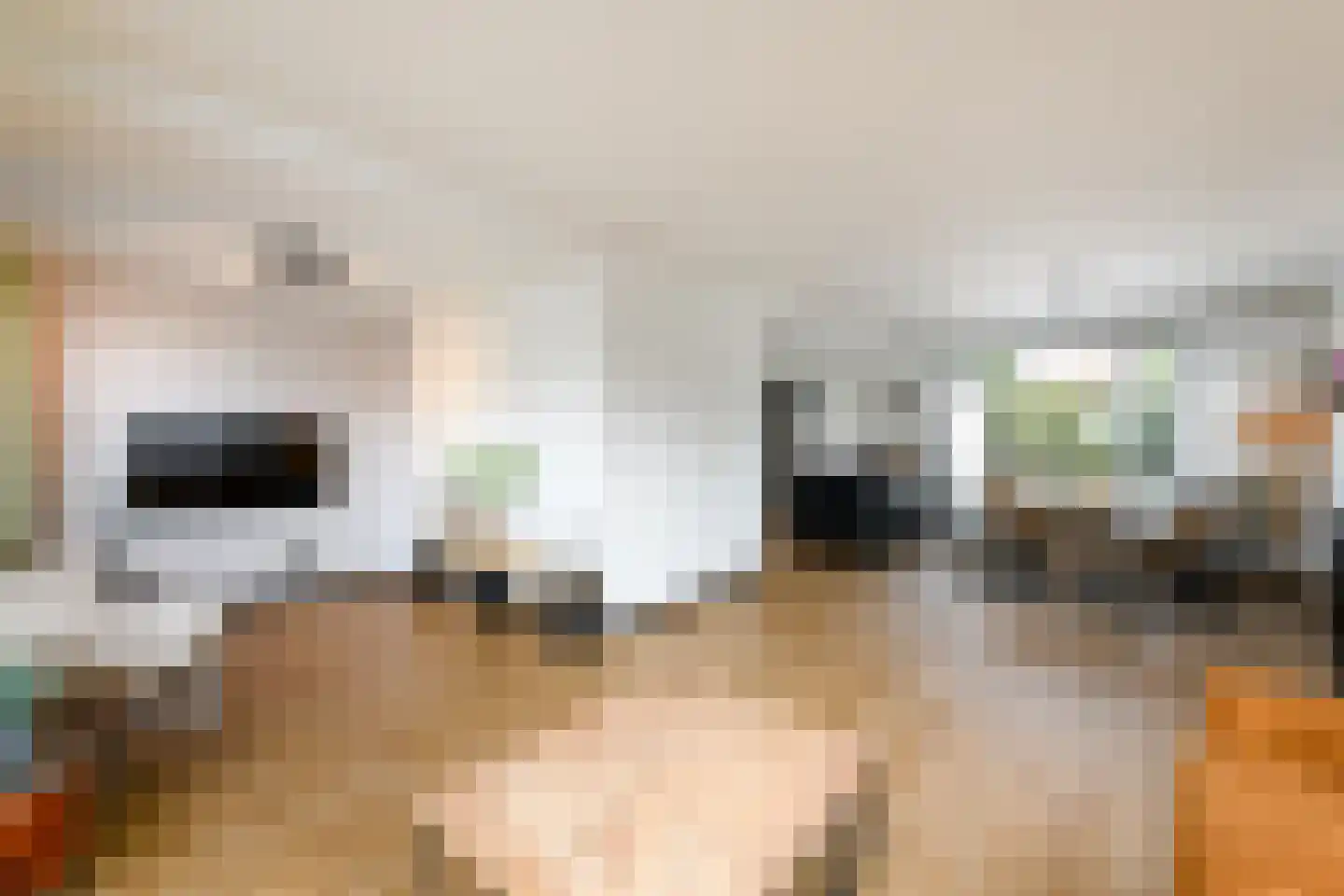 Sleeswijklaan 11 Wolvega thumbnail 4