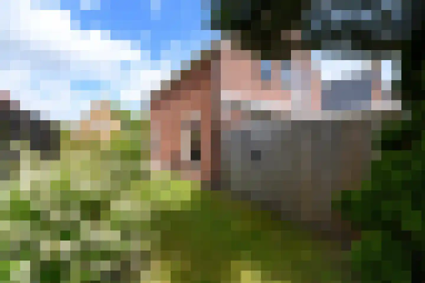 Sleeswijklaan 11 Wolvega thumbnail 42