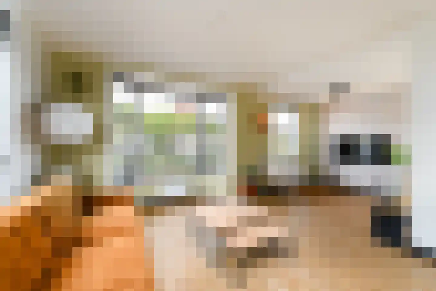 Sleeswijklaan 11 Wolvega thumbnail 7