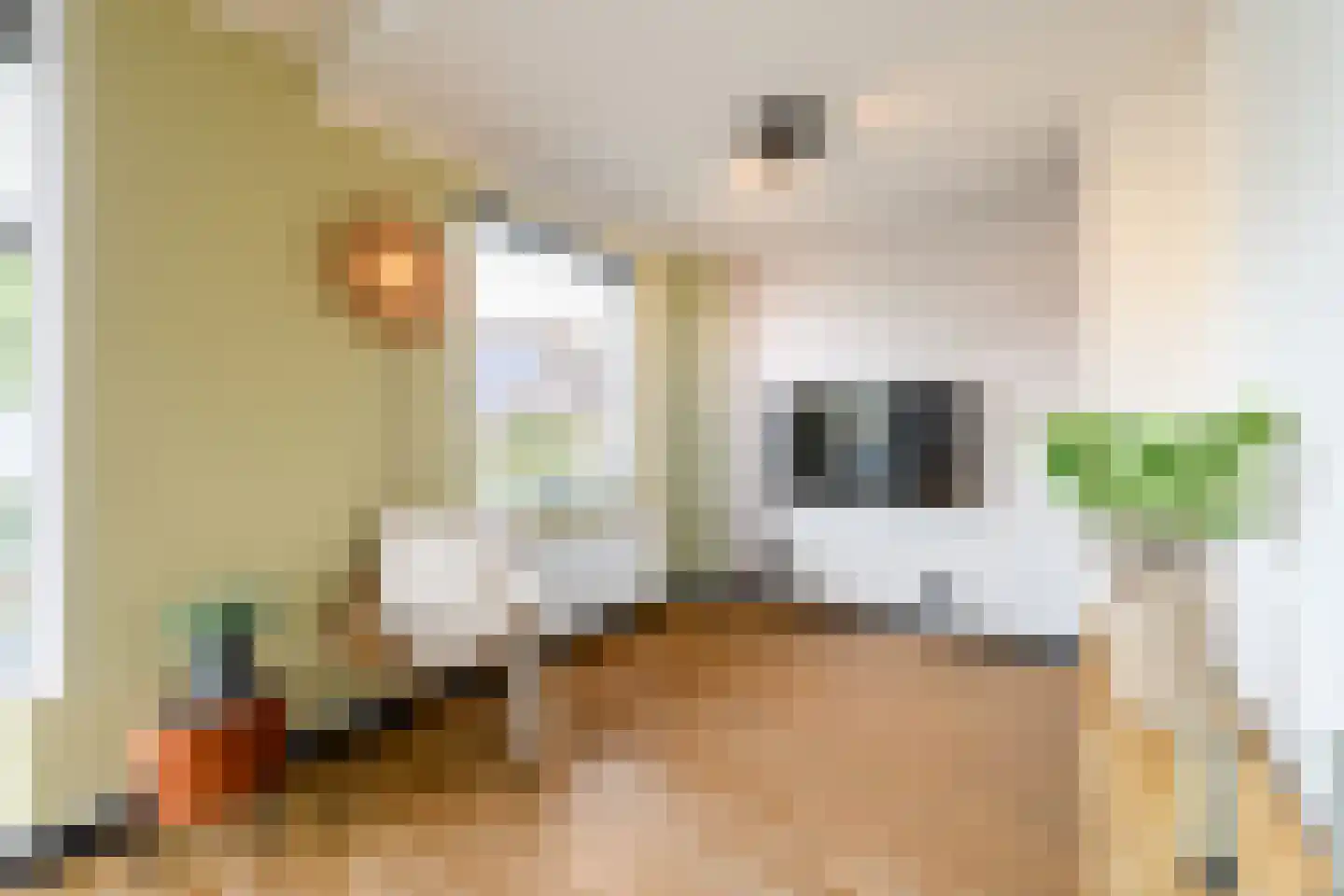 Sleeswijklaan 11 Wolvega thumbnail 9