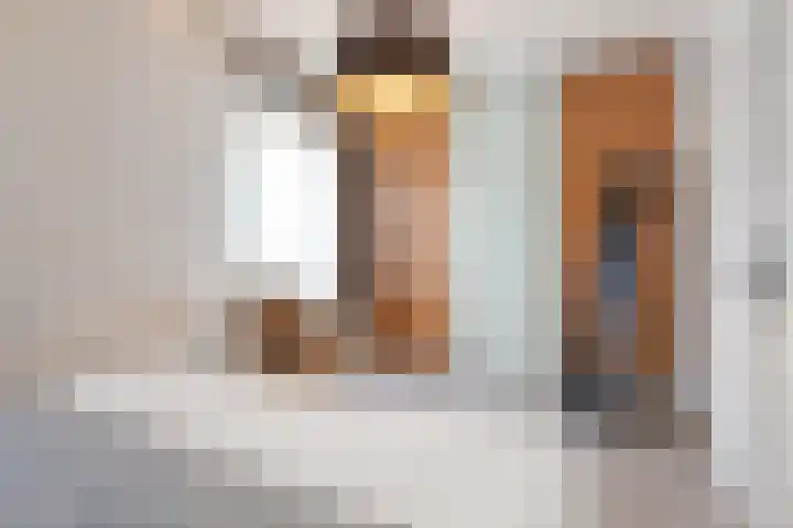 Sleeuwijkerf 14 Tilburg thumbnail 19