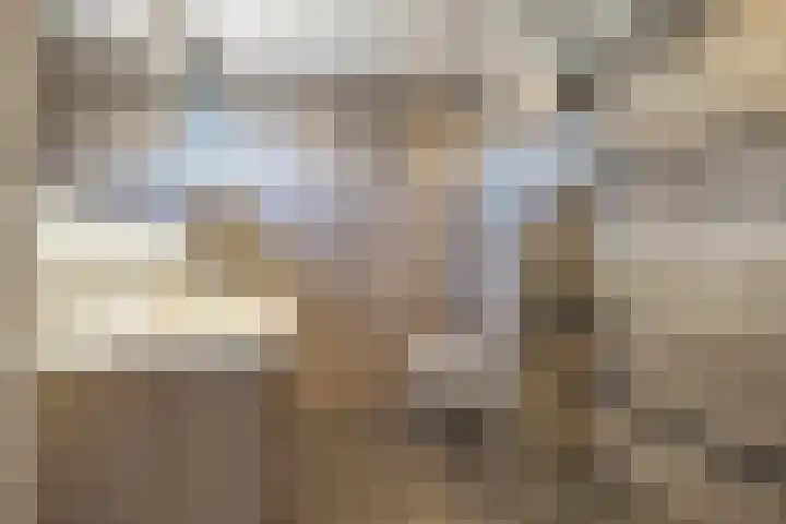 Sleeuwijkerf 14 Tilburg thumbnail 22