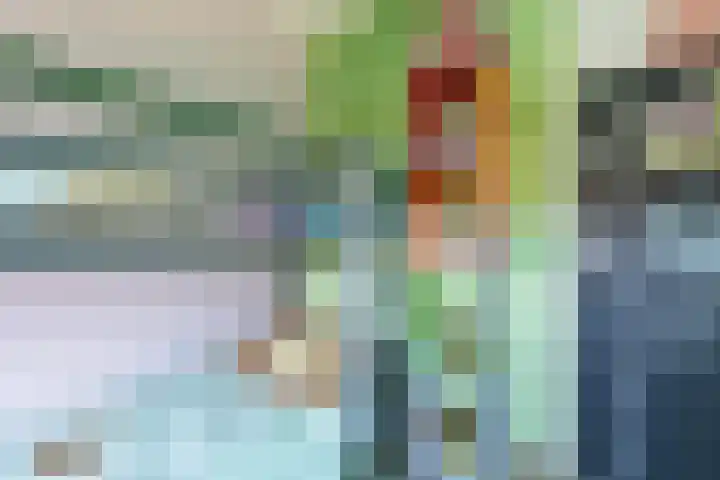 Sleeuwijkerf 14 Tilburg thumbnail 25
