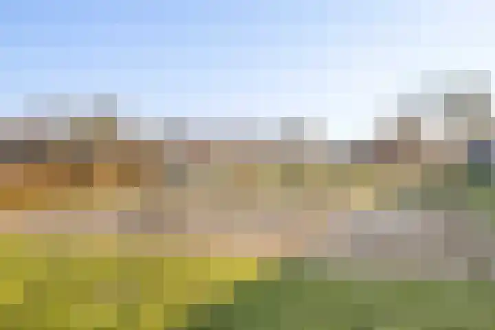 Sleeuwijkerf 14 Tilburg thumbnail 40