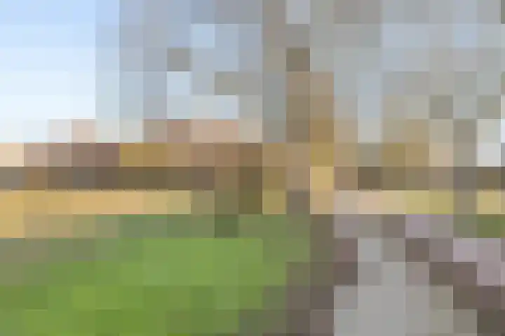 Sleeuwijkerf 14 Tilburg thumbnail 41