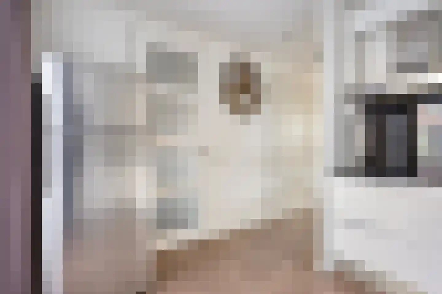 Sleeuwijkerf 9 Tilburg thumbnail 14