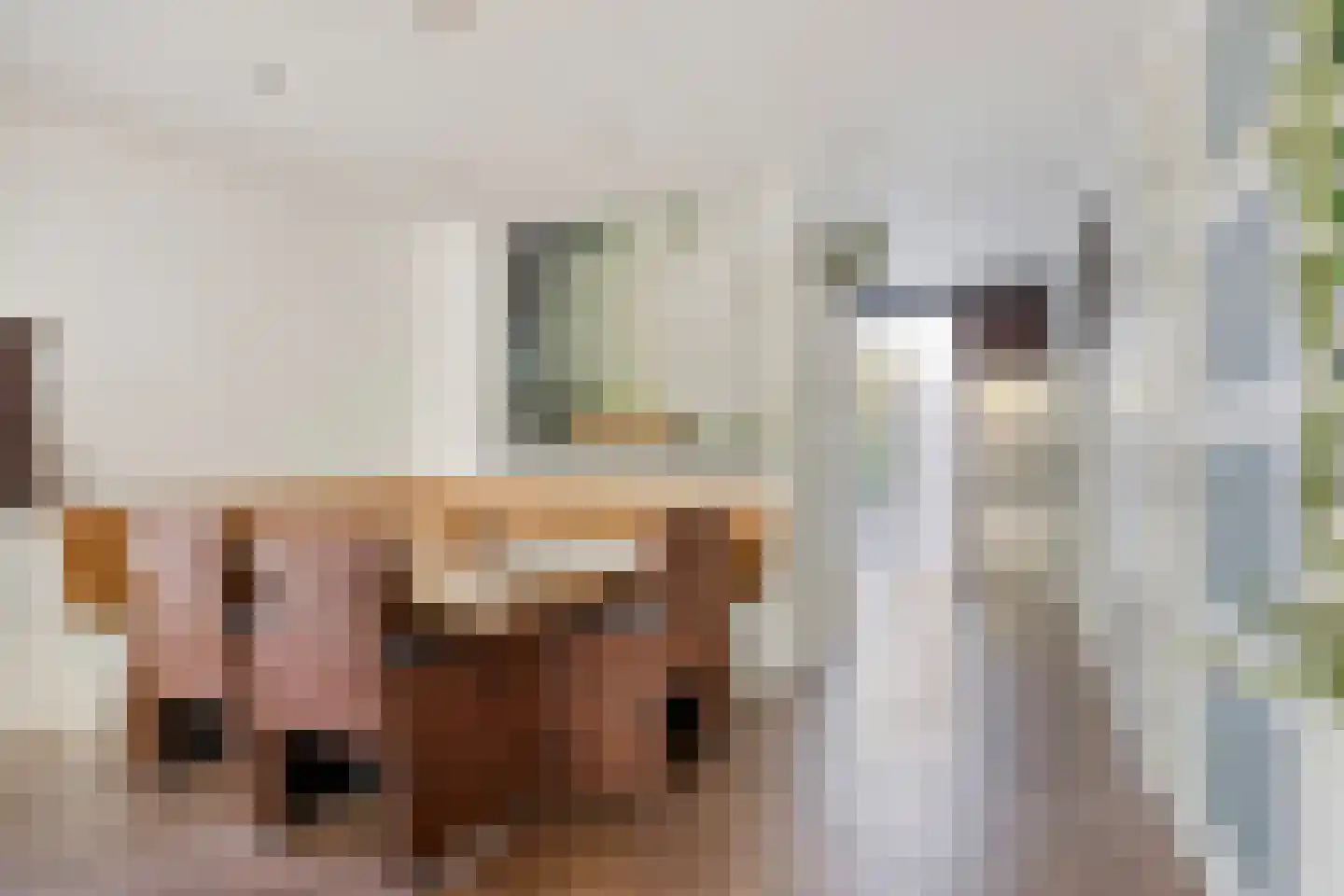 Sleeuwijkerf 9 Tilburg thumbnail 25