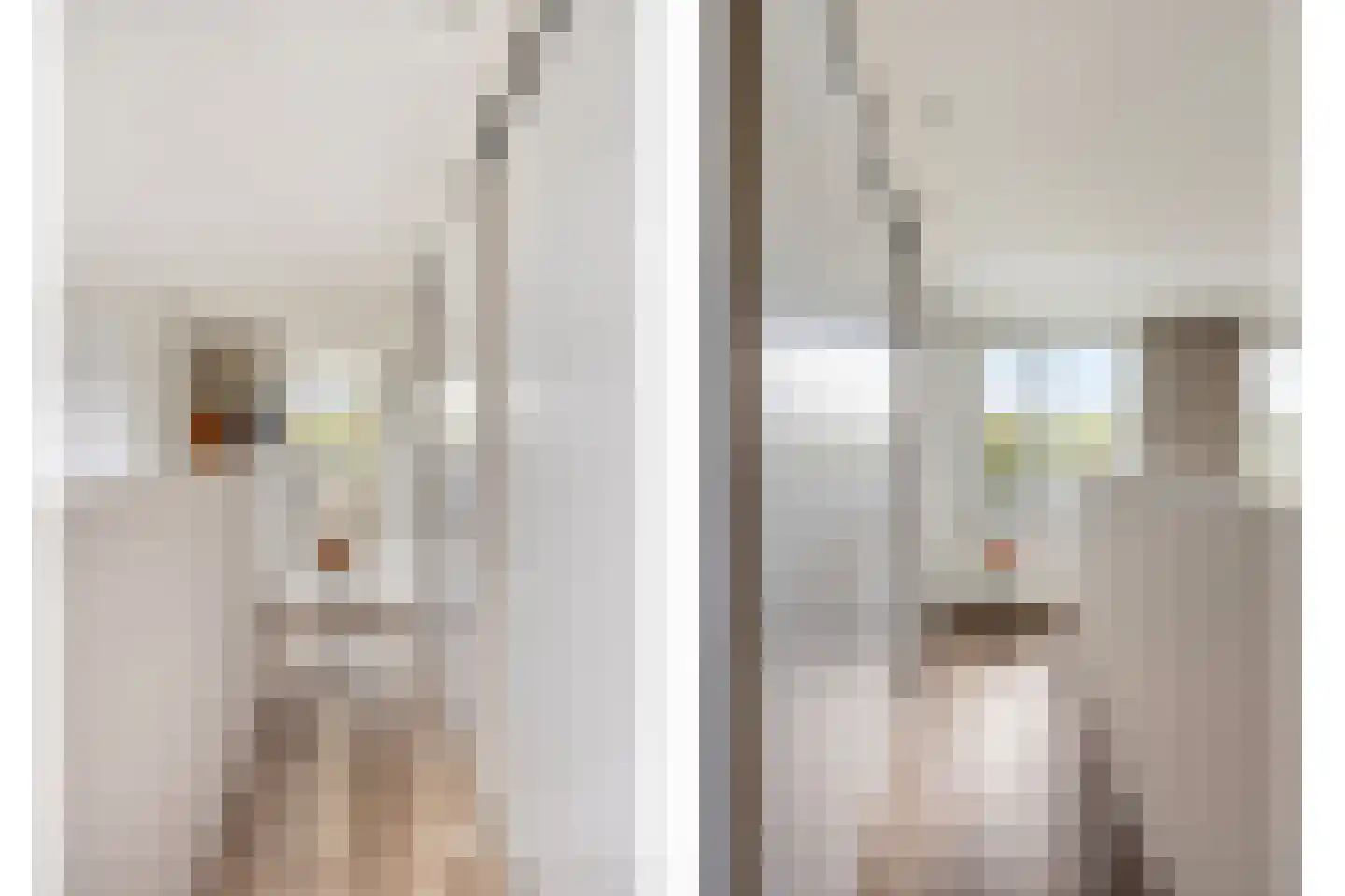 Sleeuwijkerf 9 Tilburg thumbnail 30