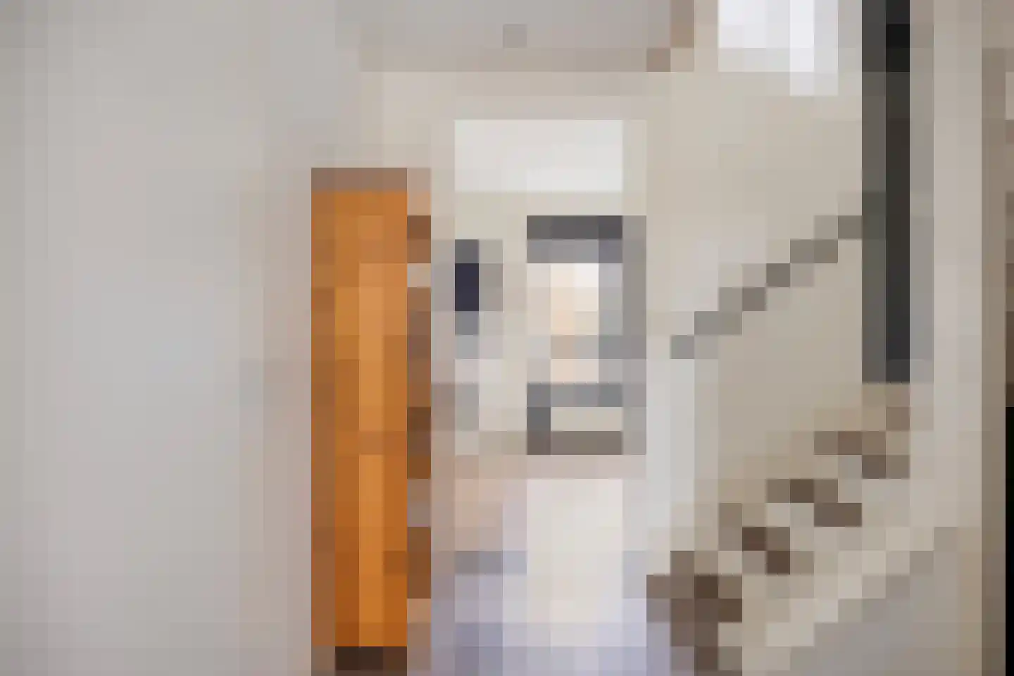 Sleeuwijkerf 9 Tilburg thumbnail 51