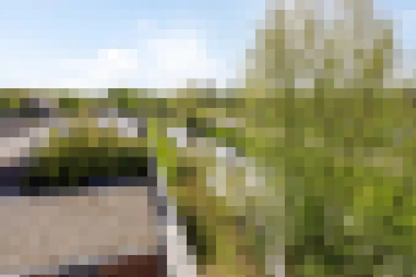 Sleeuwijkerf 9 Tilburg thumbnail 71
