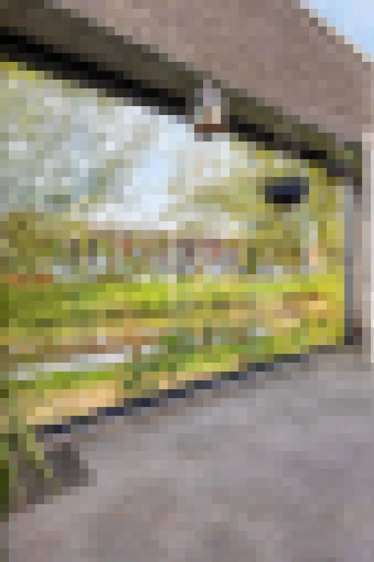 Sleeuwijkerf 9 Tilburg thumbnail 79