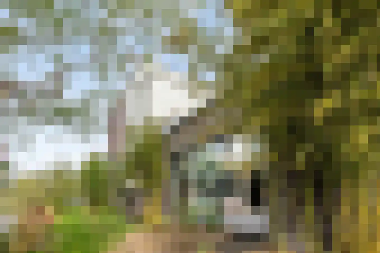 Sleeuwijkerf 9 Tilburg thumbnail 86